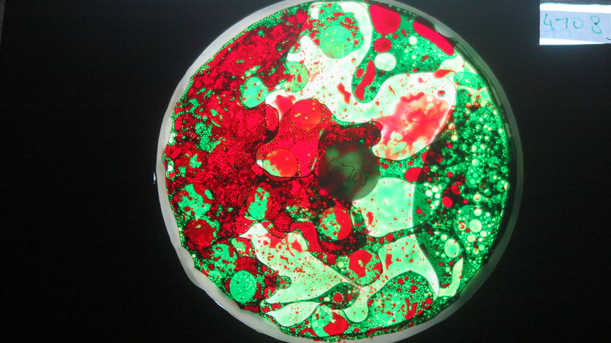 BV4708 bubble vision oil wheel